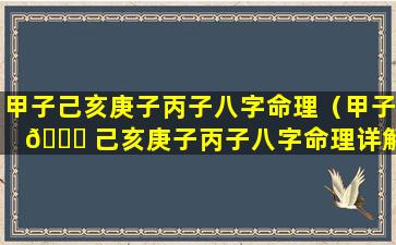 甲子己亥庚子丙子八字命理（甲子 🍁 己亥庚子丙子八字命理详解）